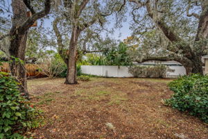 Backyard5
