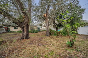 Backyard7