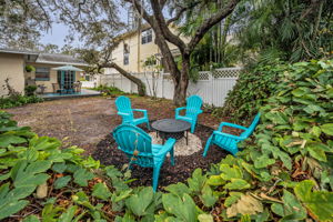 Backyard8