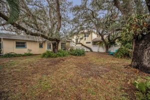 Backyard10