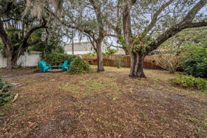 Backyard11