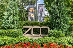  Photo 87