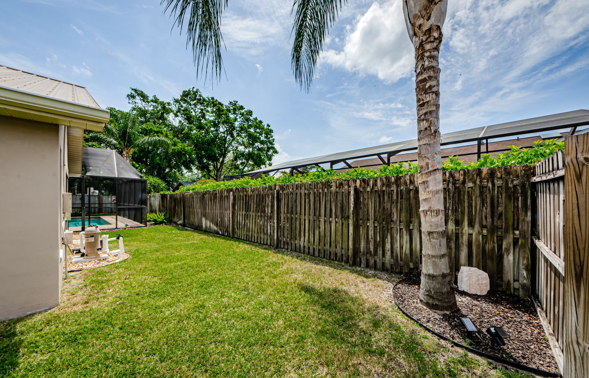 Backyard 4