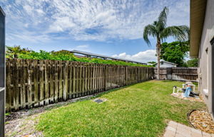 Backyard 1