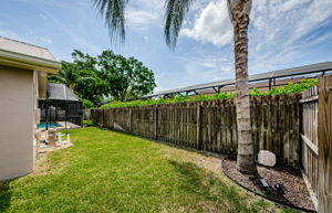 Backyard 4