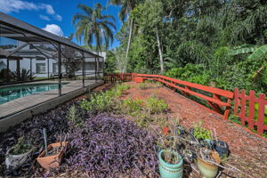 Backyard1