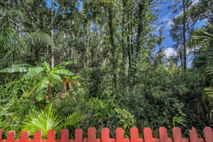 Backyard3 View