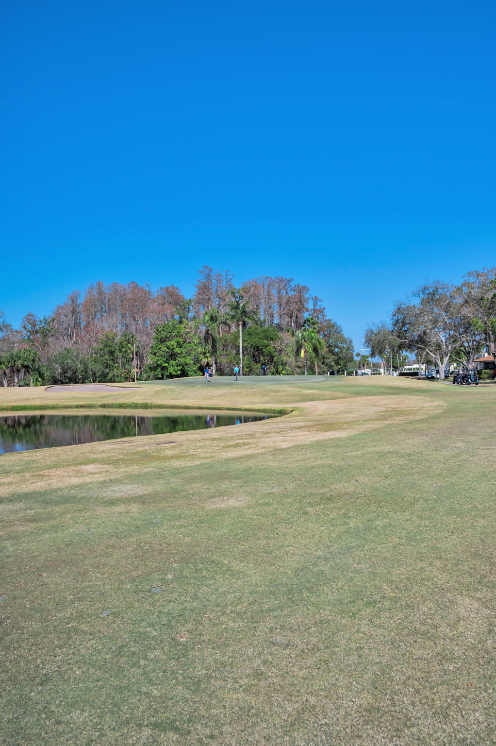 Golf Course View3