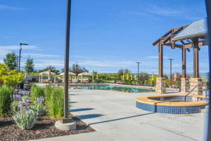 Community clubhouse, meeting area, gym, pool, jacuzzi, bocce ball...
