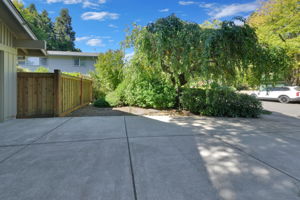  Photo 49