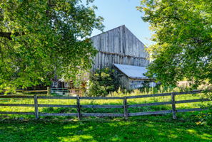  Photo 45