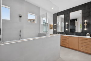 Primary Bathroom 3 of 4