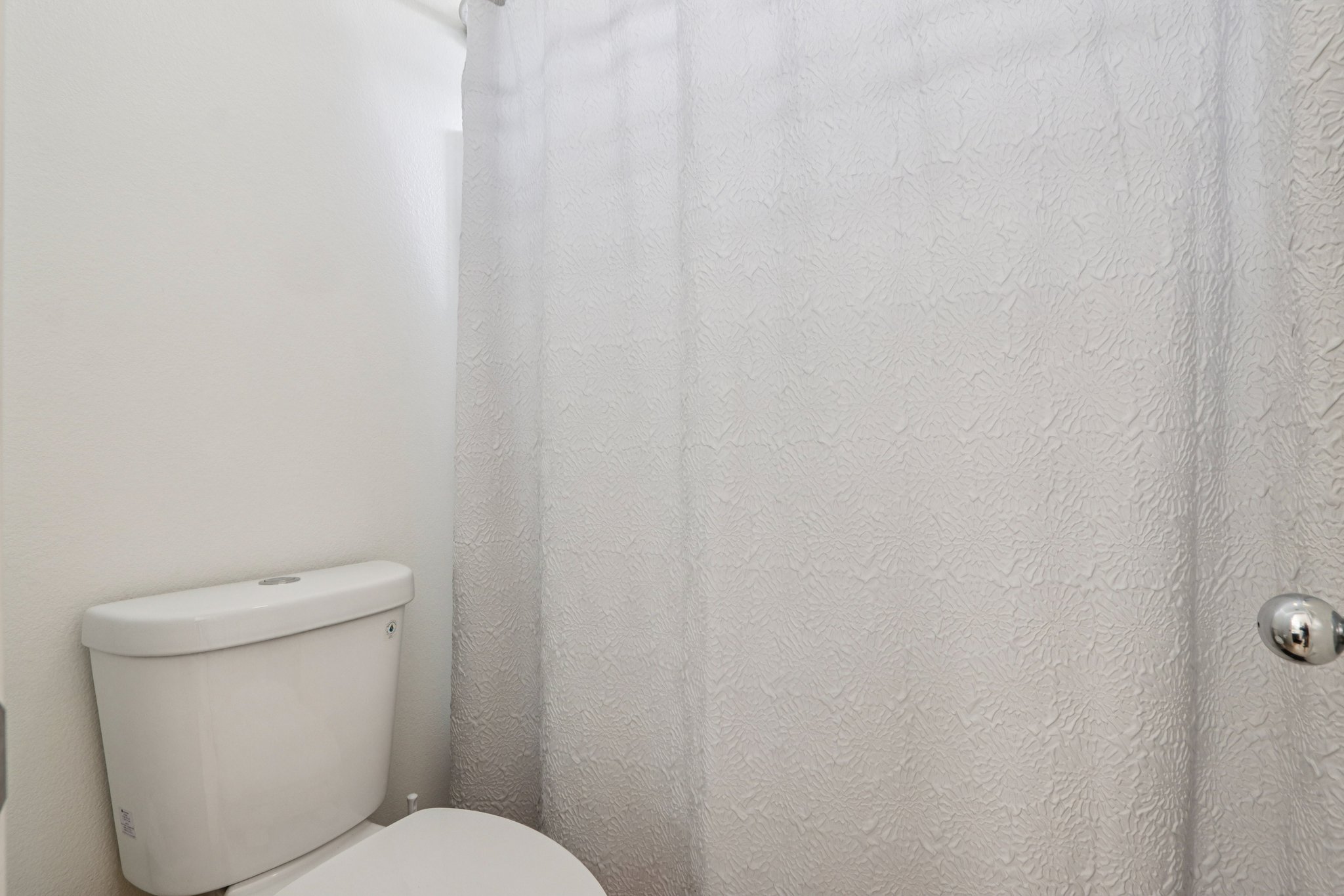 Nandina Ln-S1404-031.jpg