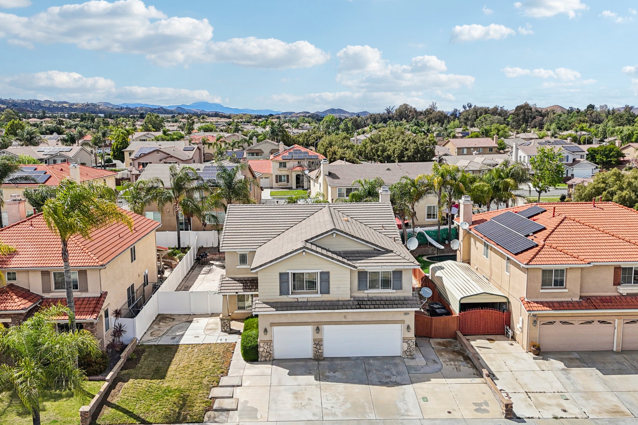 Nandina Ln-S1404-047.jpg