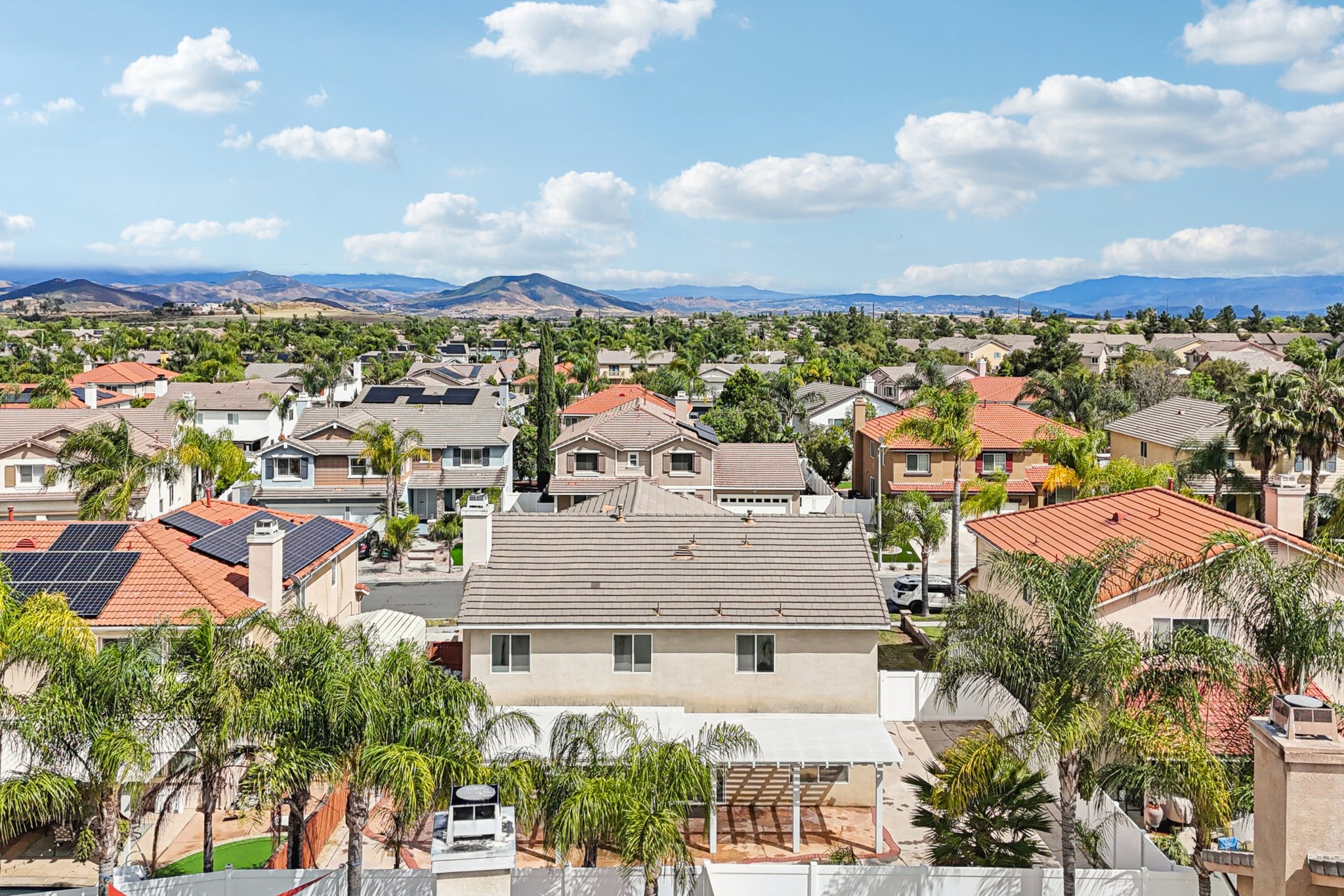 Nandina Ln-S1404-050.jpg