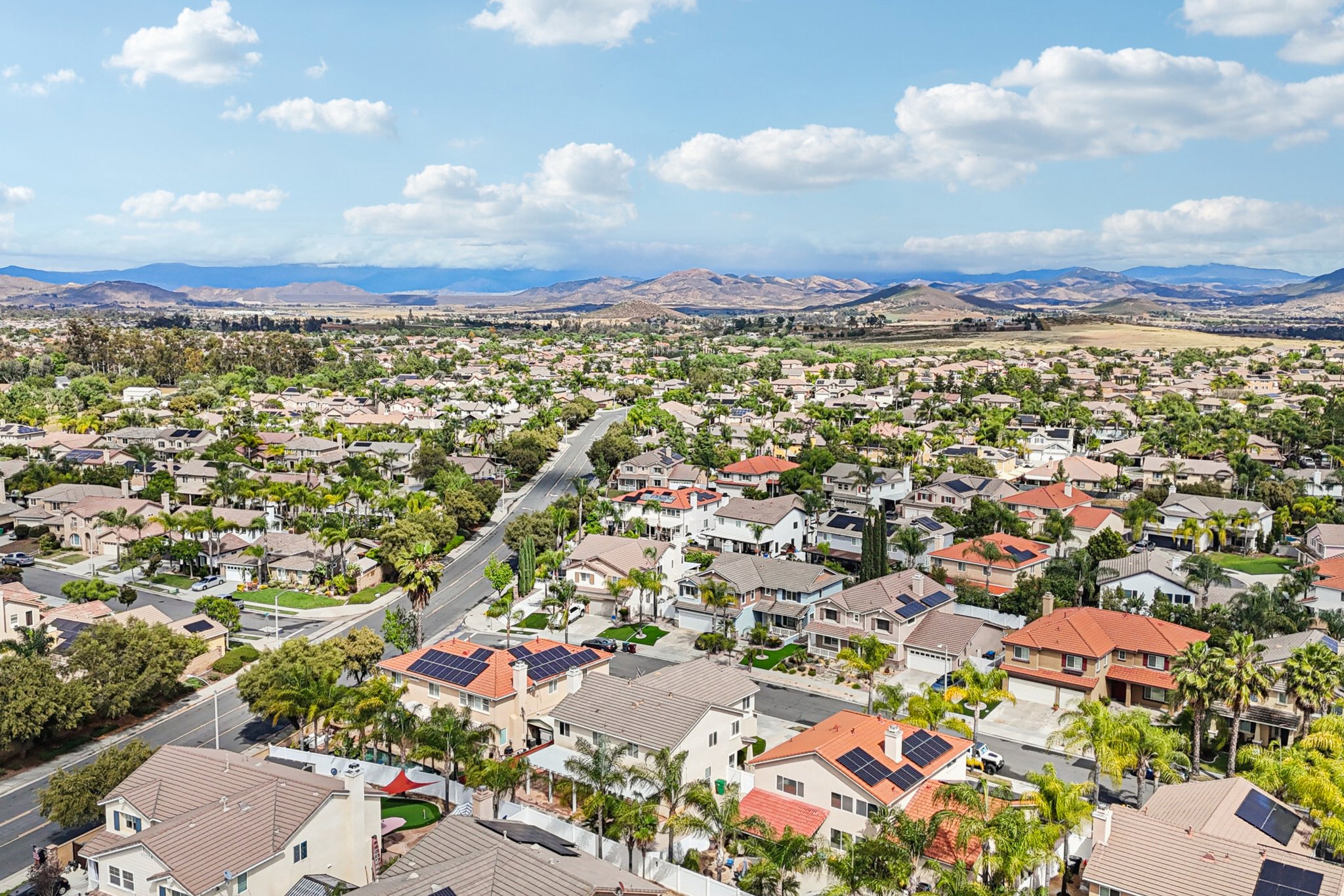 Nandina Ln-S1404-052.jpg