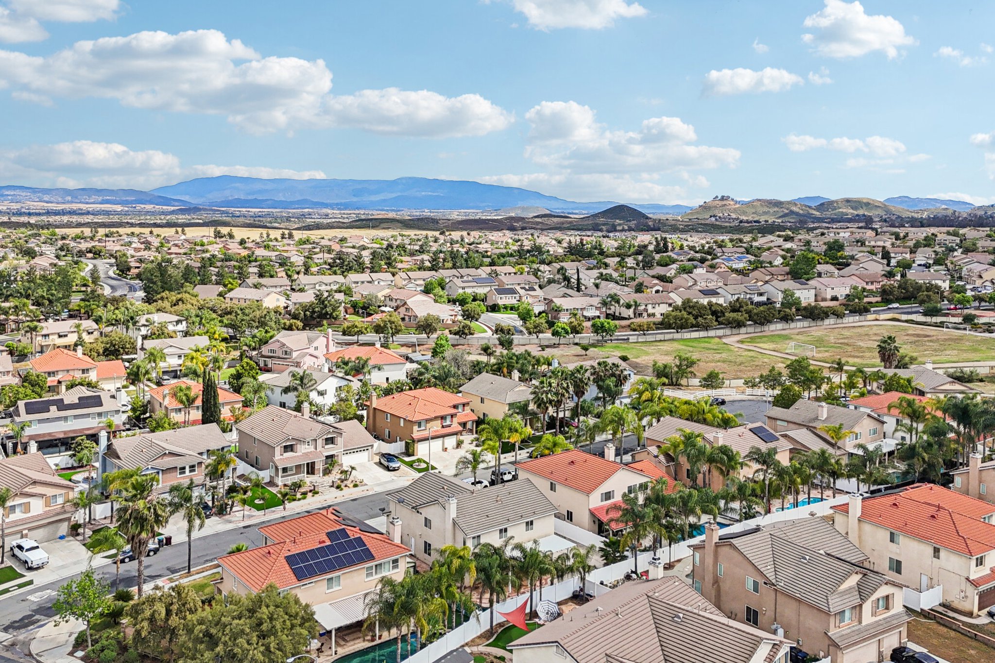 Nandina Ln-S1404-053.jpg