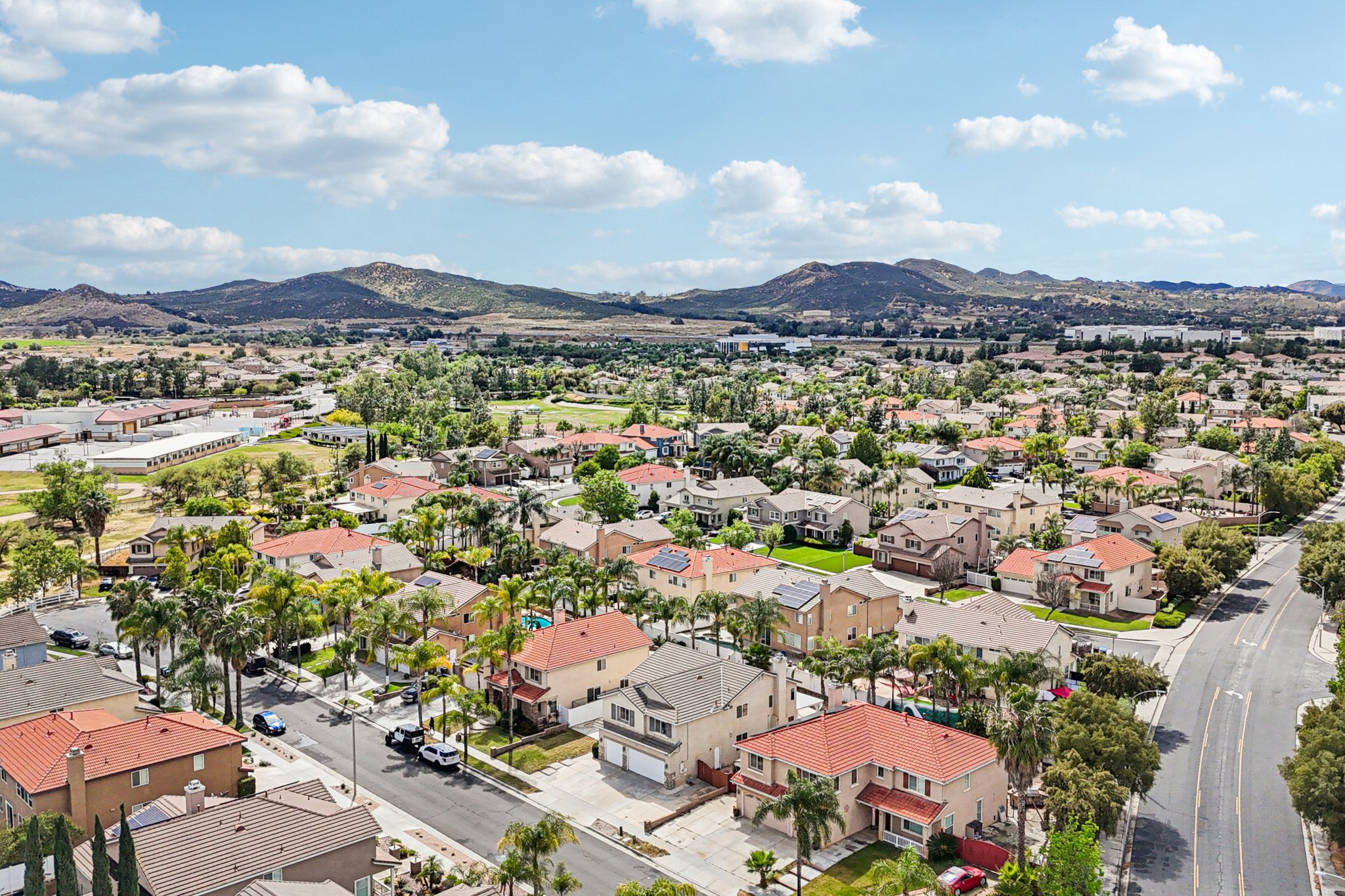 Nandina Ln-S1404-054.jpg