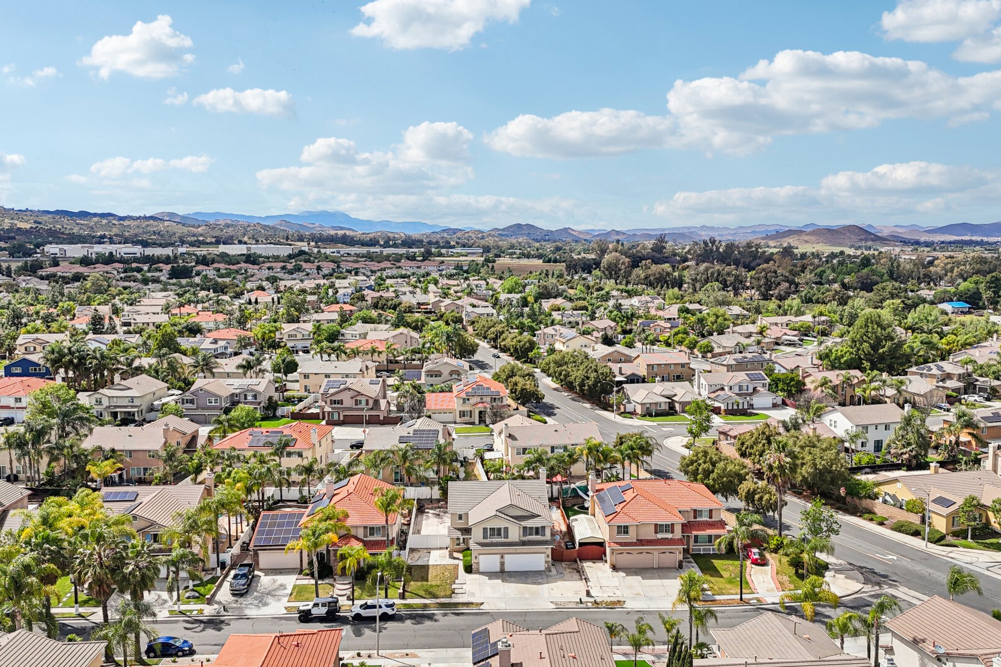 Nandina Ln-S1404-055.jpg