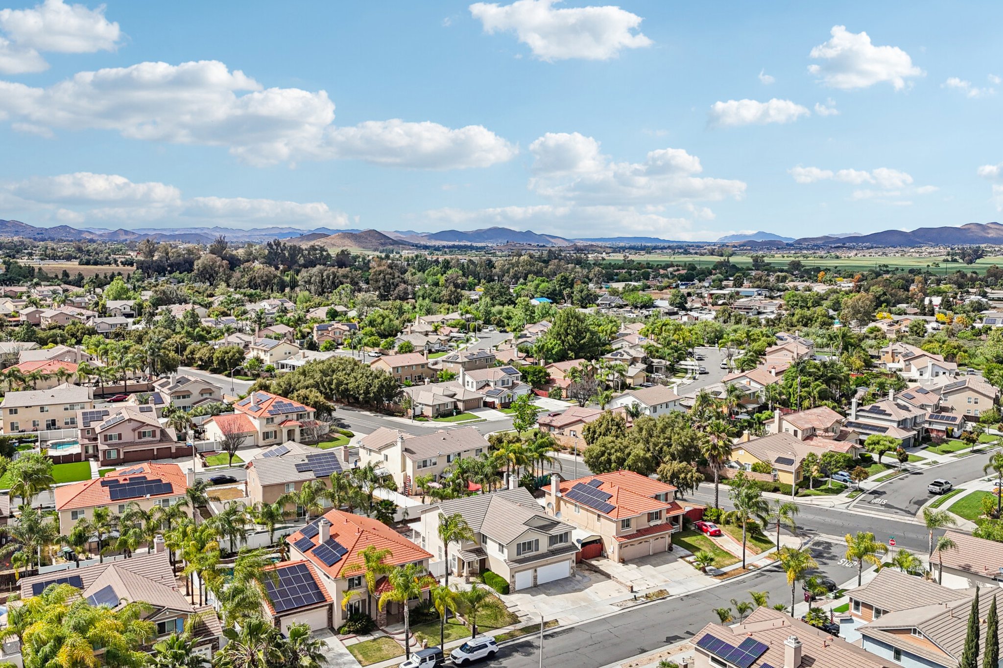 Nandina Ln-S1404-056.jpg