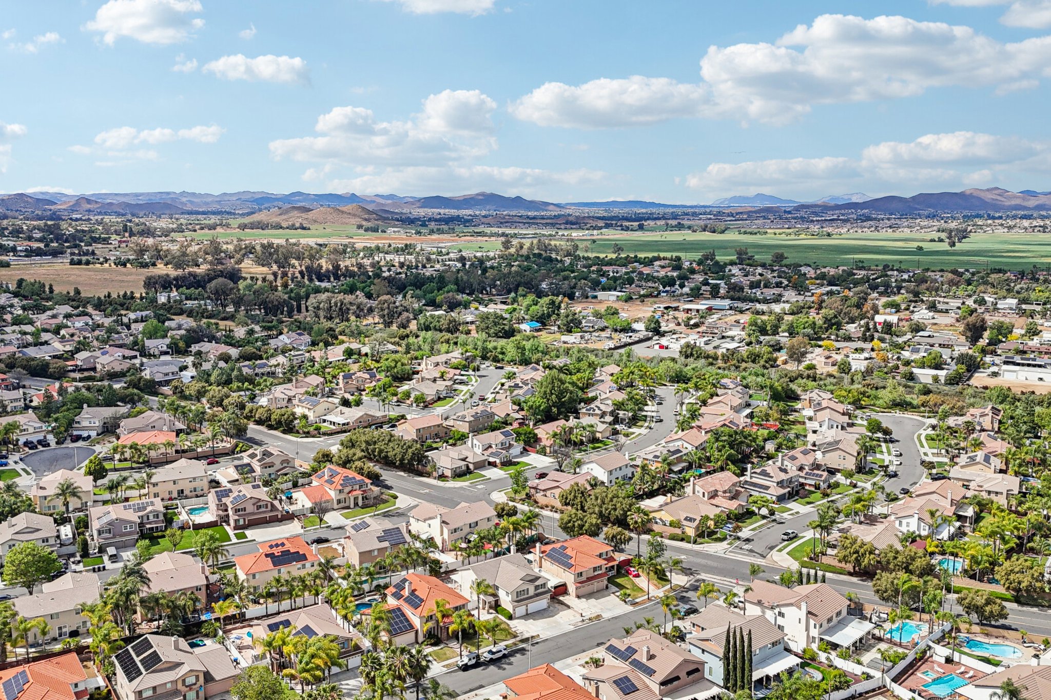 Nandina Ln-S1404-057.jpg