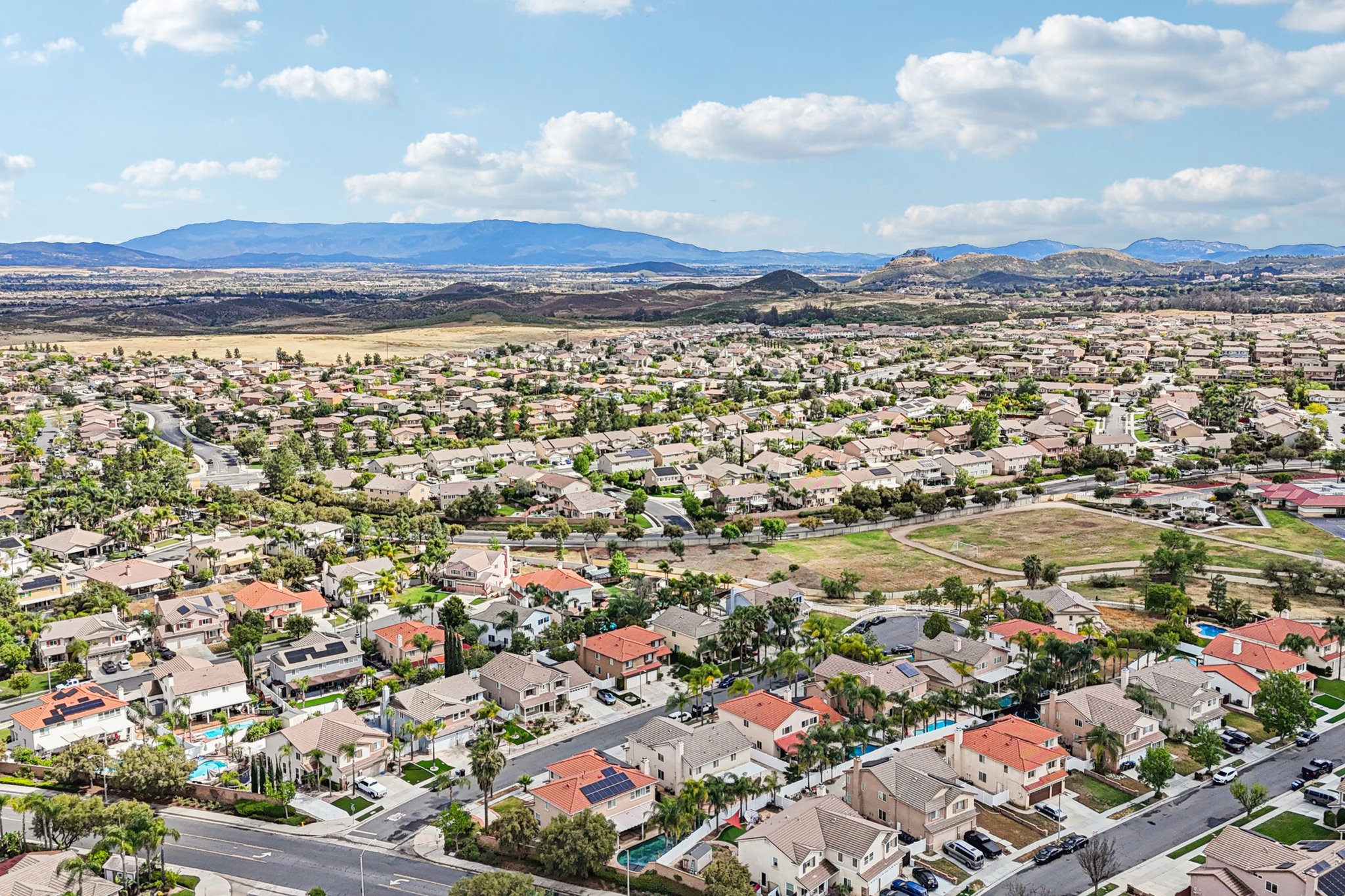 Nandina Ln-S1404-060.jpg