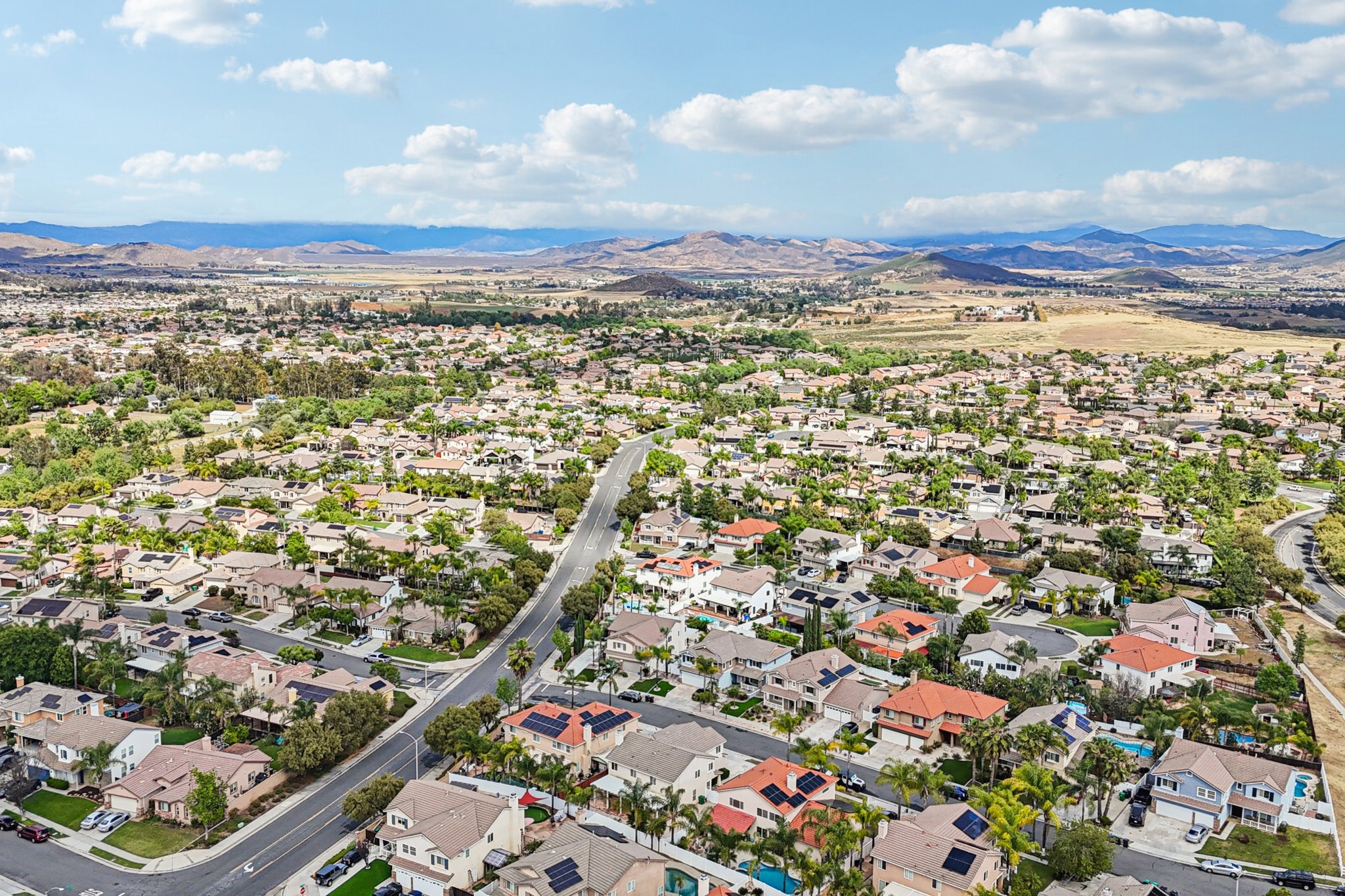 Nandina Ln-S1404-061.jpg