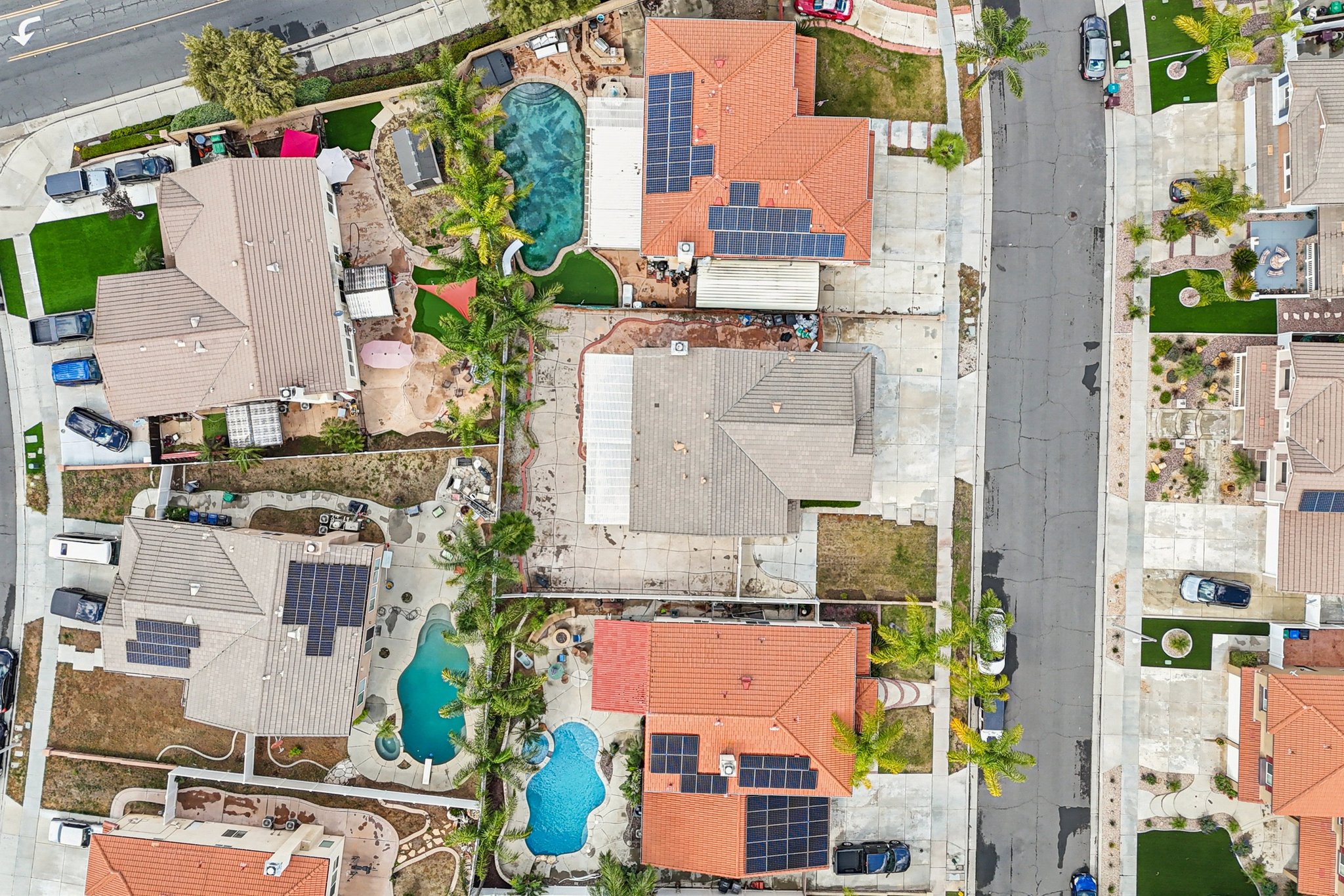 Nandina Ln-S1404-062.jpg