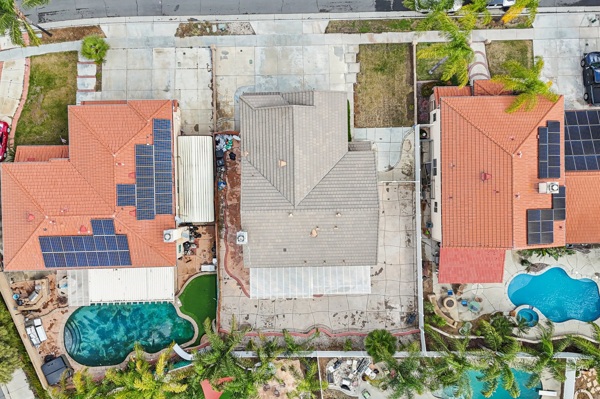 Nandina Ln-S1404-064.jpg