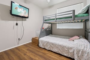 Nandina Ln-S1404-019.jpg