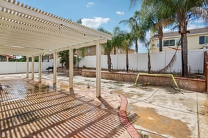 Nandina Ln-S1404-040.jpg