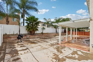 Nandina Ln-S1404-044.jpg