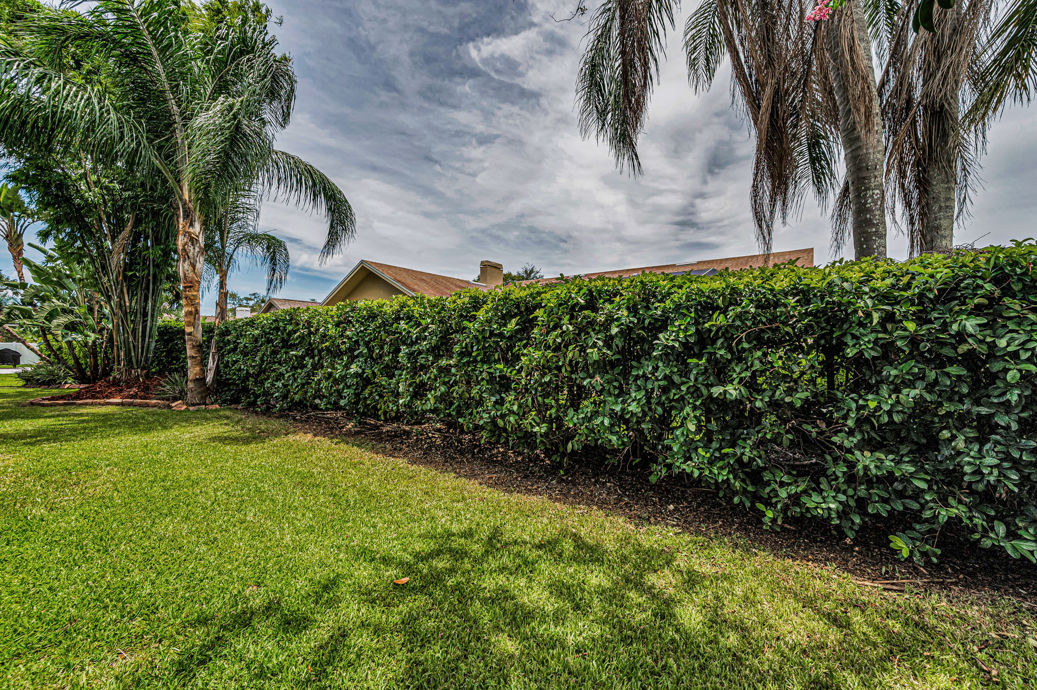 Backyard1