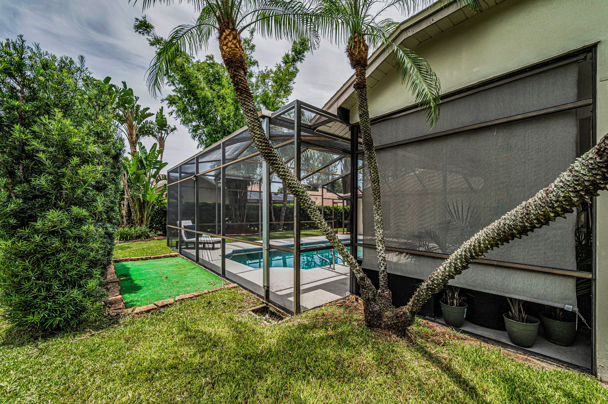 Backyard7