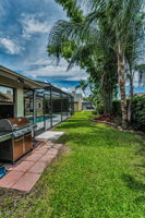 Backyard2