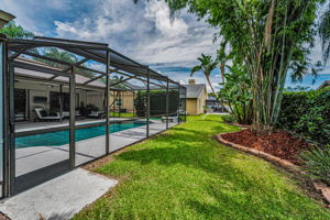 Backyard3