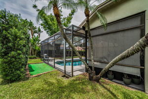 Backyard7