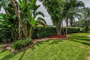 Backyard8