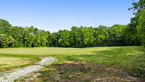  Photo 0