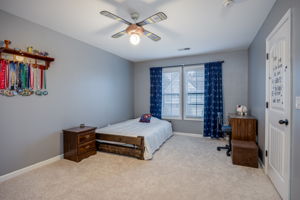  Photo 49