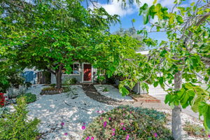 Front Yard