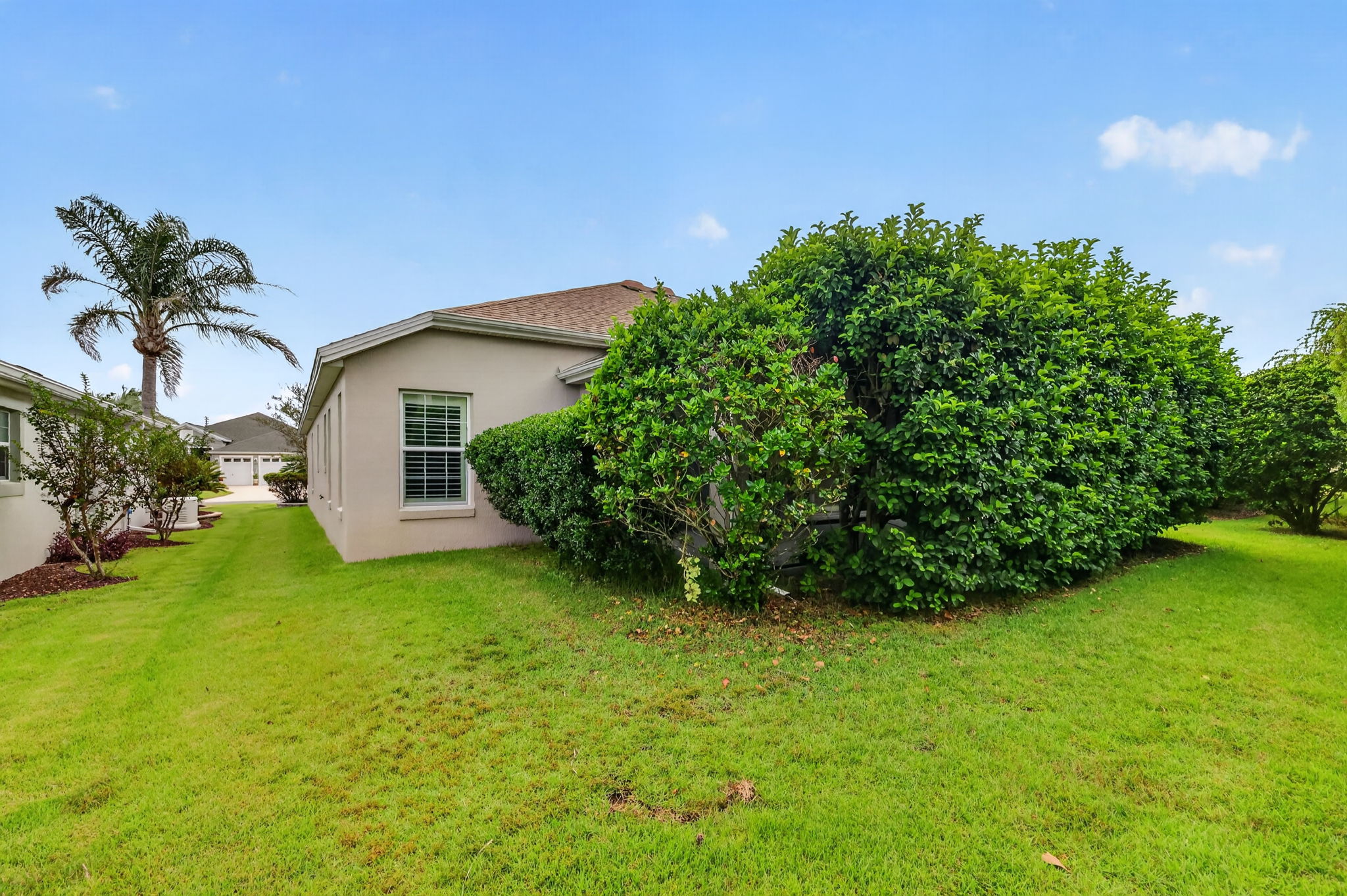 Rear Elevation with Mature PRIVACY Landscaping