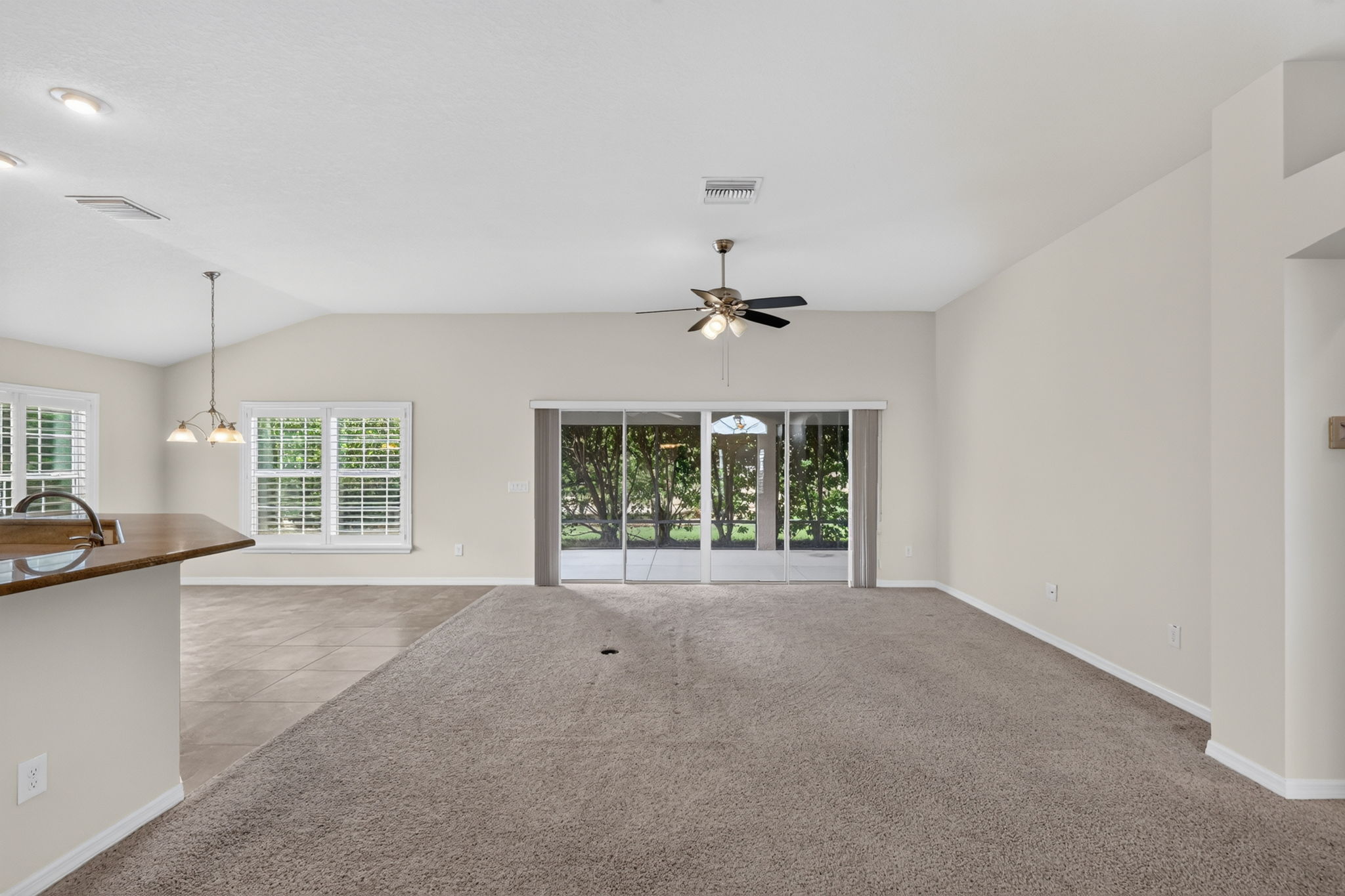 Dinette and Living Room