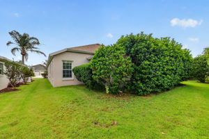 Rear Elevation with Mature PRIVACY Landscaping