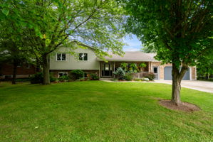  Photo 0
