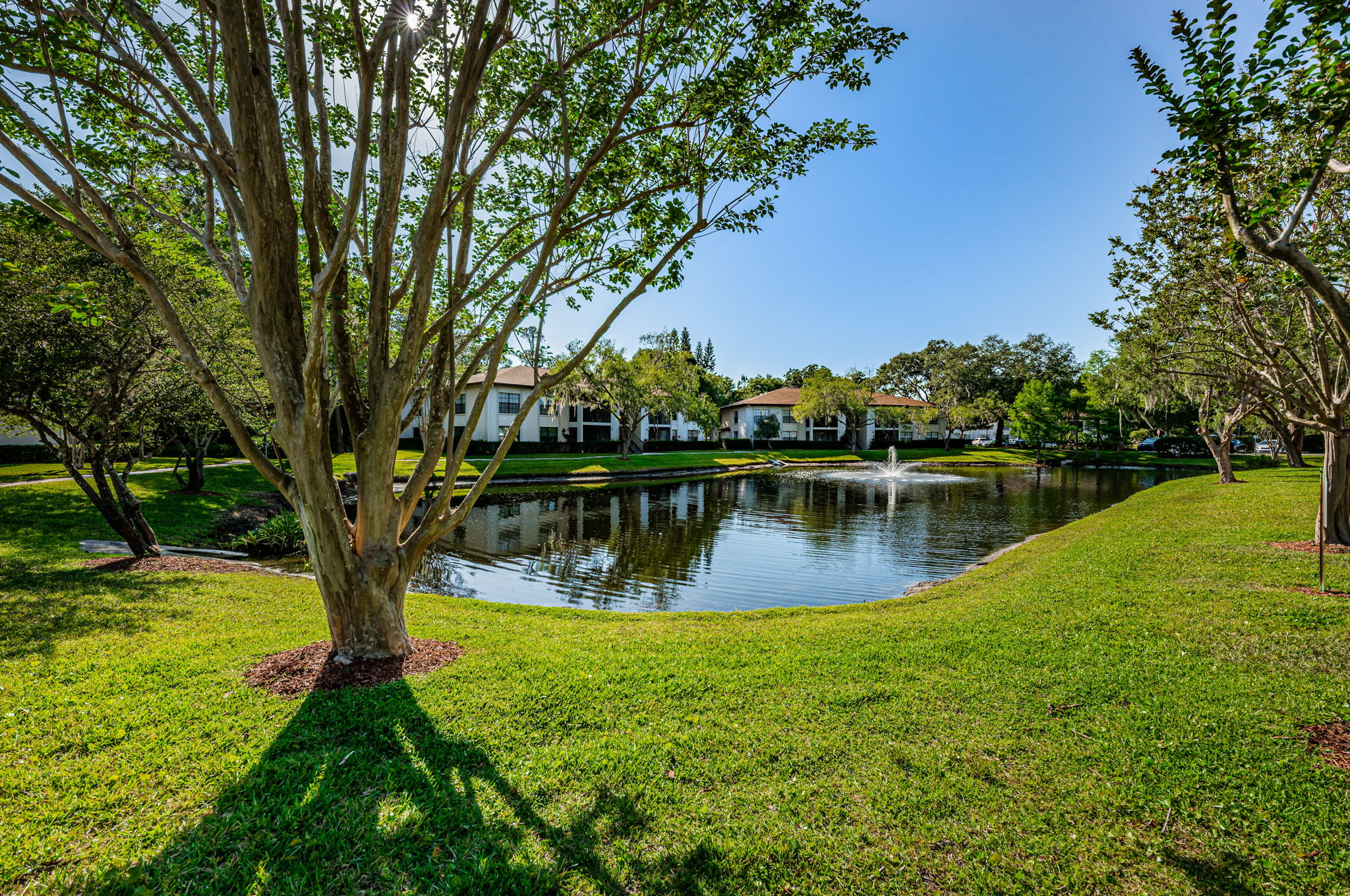 Common Area Pond1