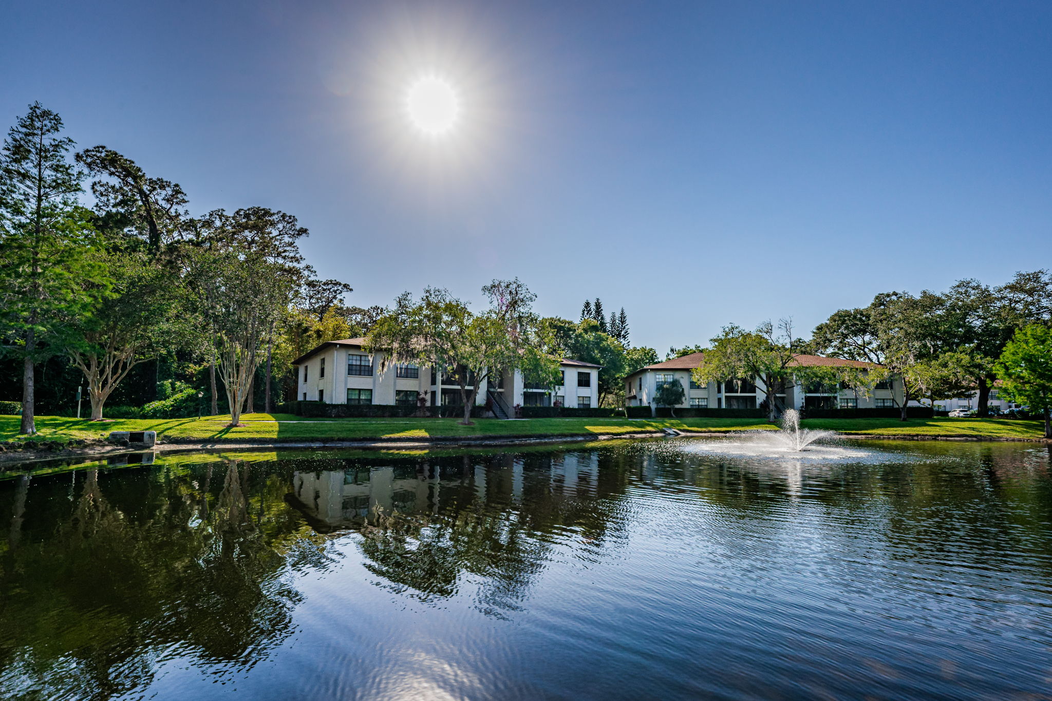 Common Area Pond2