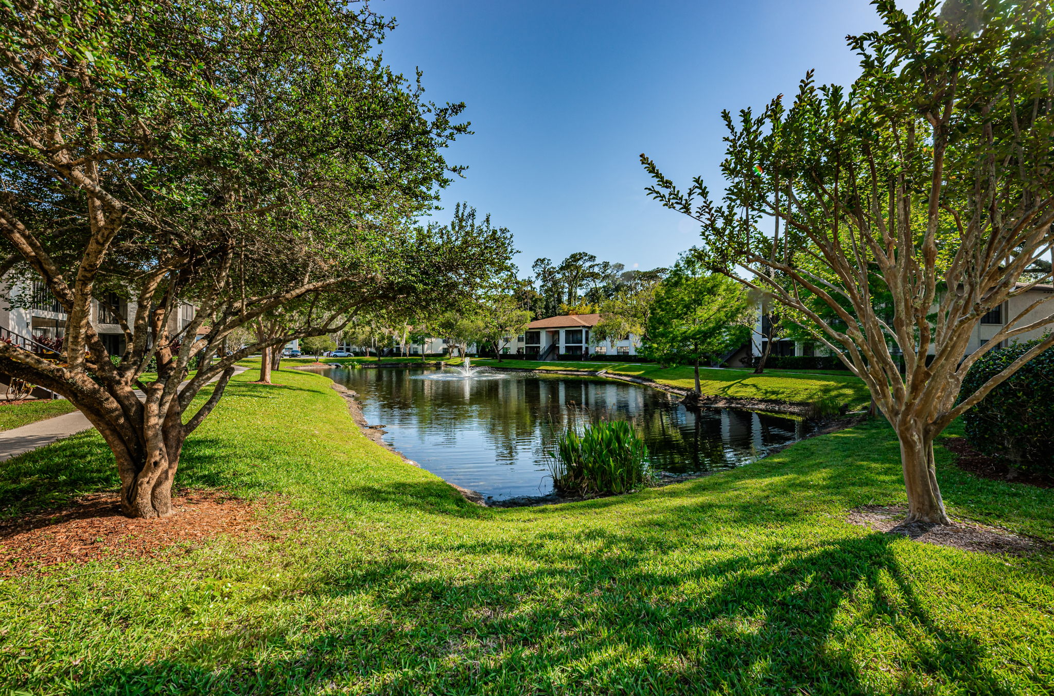 Common Area Pond9