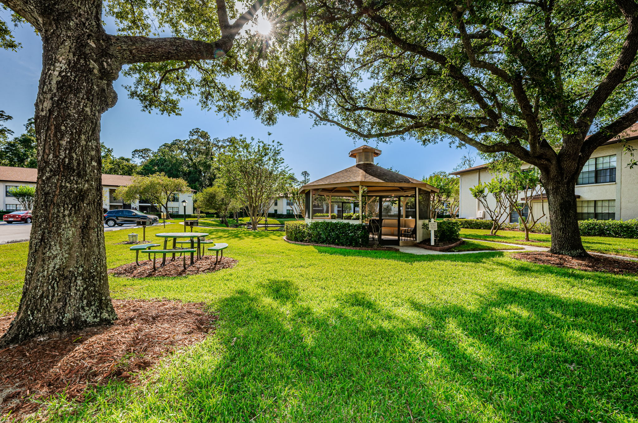 Gazebo and Gilling Area2