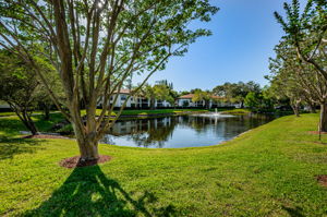 Common Area Pond1